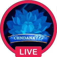 cendana777 APK Versi Terbaru untuk Android 2026